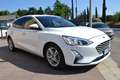 Ford Focus 1.0 100CV OK NEOPATENTATO  **PREZZO VERO** Bianco - thumbnail 3