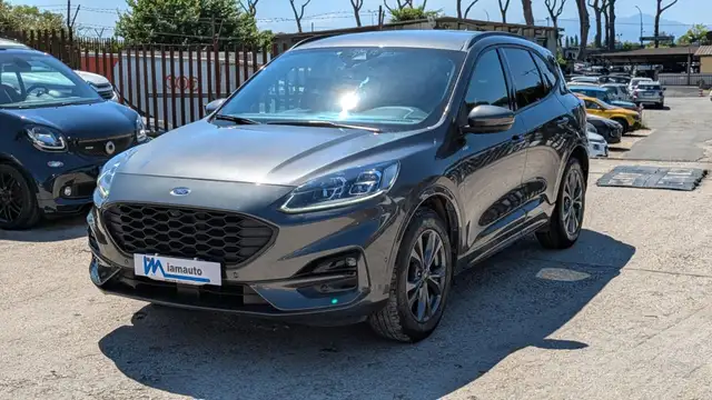 2024 Ford Kuga in Grey for sale