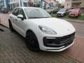 Porsche Macan GTS/Sport-Chrono/Panoramadach/Sportsitze Weiß - thumbnail 2