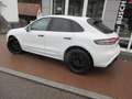 Porsche Macan GTS/Sport-Chrono/Panoramadach/Sportsitze Weiß - thumbnail 5