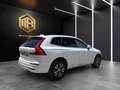 Volvo XC60 T6 Recharge Inscription Blanco - thumbnail 5