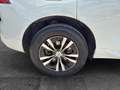 Volvo XC60 T6 Recharge Inscription Blanco - thumbnail 11