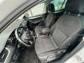 Skoda Octavia Wagon Wagon 1.6 tdi 105cv Bianco - thumbnail 11