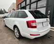 Skoda Octavia Wagon Wagon 1.6 tdi 105cv Bianco - thumbnail 8