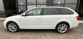 Skoda Octavia Wagon Wagon 1.6 tdi 105cv Bianco - thumbnail 5