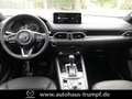 Mazda CX-5 2023 2.5L e-SKYACTIV G 194 PS 6AT AWD HOMURA COMH Grau - thumbnail 11