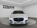 Jaguar F-Pace - F-Pace 2.0d Prestige awd 180cv auto Wit - thumbnail 2