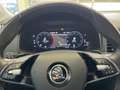 Skoda Karoq 2.0 TDI SCR 4x4 Style Bluetooth Navi LED Grau - thumbnail 14