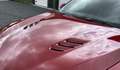 Alfa Romeo Stelvio V6 2.9 Bi-Turbo AT8-Q4 Quadrifoglio Rood - thumbnail 13
