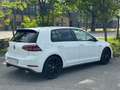 Volkswagen Golf GTI Golf VII 5p 5p 2.0 tsi Performance 245cv dsg - thumbnail 8
