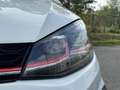 Volkswagen Golf GTI Golf VII 5p 5p 2.0 tsi Performance 245cv dsg - thumbnail 14