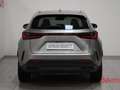 Lexus NX 450h+ NX Plug-in 4WD Premium + Grigio - thumbnail 5