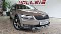 Skoda Octavia Scout 4x4  AHK  Eintausch möglich Beige - thumbnail 3