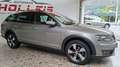 Skoda Octavia Scout 4x4  AHK  Eintausch möglich Beige - thumbnail 5