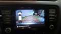 Skoda Octavia Scout 4x4  AHK  Eintausch möglich Beige - thumbnail 15