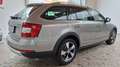 Skoda Octavia Scout 4x4  AHK  Eintausch möglich Beige - thumbnail 6