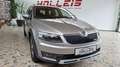 Skoda Octavia Scout 4x4  AHK  Eintausch möglich Beige - thumbnail 4