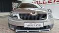 Skoda Octavia Scout 4x4  AHK  Eintausch möglich Beige - thumbnail 2