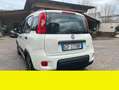 Fiat Panda Fiat Panda 1.0 FireFly S&S Hybrid City Life Bianco - thumbnail 5