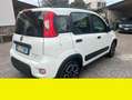 Fiat Panda Fiat Panda 1.0 FireFly S&S Hybrid City Life Bianco - thumbnail 4