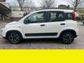 Fiat Panda Fiat Panda 1.0 FireFly S&S Hybrid City Life Bianco - thumbnail 3