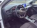 Ford Focus EcoBlue Connected AUT Blanco - thumbnail 13