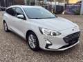 Ford Focus EcoBlue Connected AUT Blanco - thumbnail 7