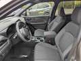 Subaru Forester 2.0ie Exclusive LED Navi Pano 360°Kamera Brons - thumbnail 14