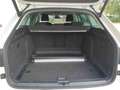 Skoda Superb Combi Style 2.0 TDI DSG AHK ACC Memory 360 Grad Weiß - thumbnail 5