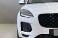 Jaguar E-Pace JAGUAR E-Pace 2.0D 150 CV AWD aut. Білий - thumbnail 11