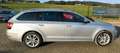 Skoda Octavia Style Grau - thumbnail 6