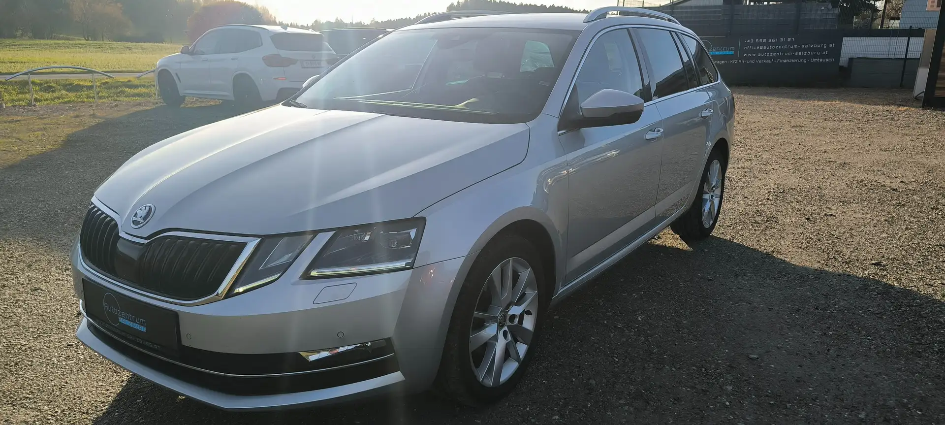 Skoda Octavia Style Grau - 1