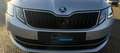 Skoda Octavia Style Grau - thumbnail 9