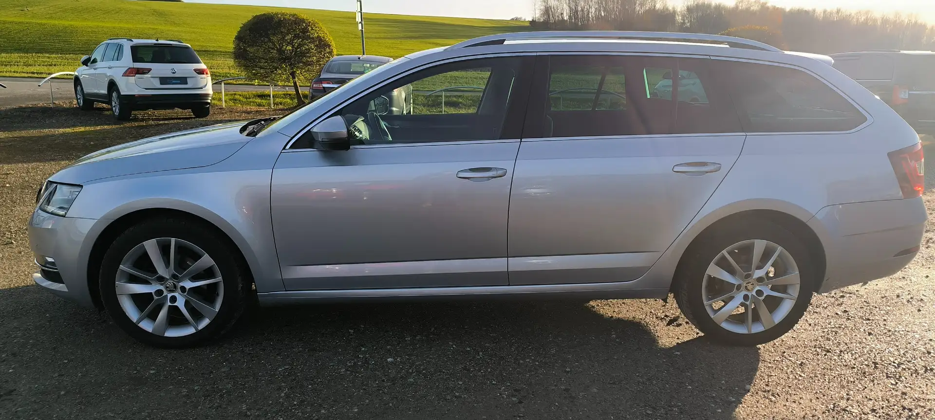 Skoda Octavia Style Grau - 2