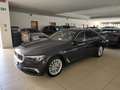 BMW 530 e Luxury PHEV Auto Navi Pelle FariLED Cerchi 18 Grau - thumbnail 1