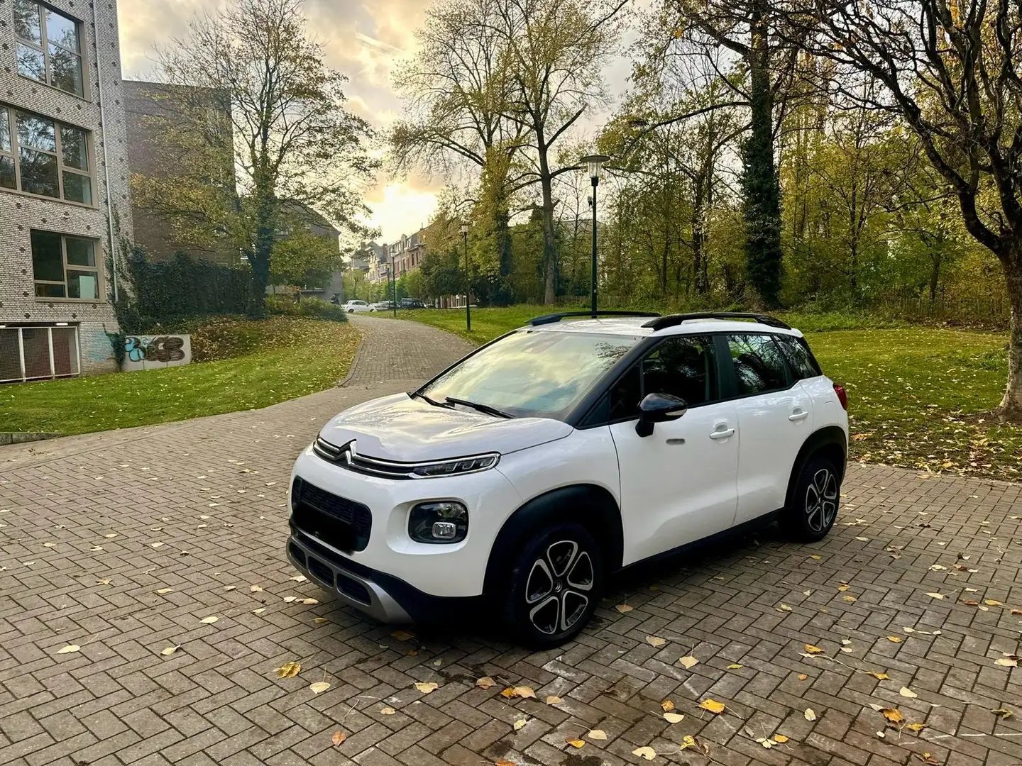 Citroen C3 Aircross C3 Aircross 1.5 BlueHDi Busin.GPS S Wit - 1
