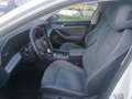 Volkswagen Passat Variant 2.0TDI Business DSG Navi LED DCC Bianco - thumbnail 7