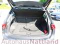 Volkswagen Tiguan Highline BMT 4Motion DSG VC ACC LED 1.Hd. Grau - thumbnail 13