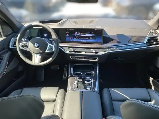 BMW X5 view 10