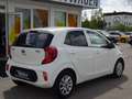 Kia Picanto 1,0 Dream Team Klima Sitz-& Lenradhzg Weiß - thumbnail 6