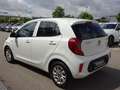 Kia Picanto 1,0 Dream Team Klima Sitz-& Lenradhzg Weiß - thumbnail 4