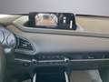 Mazda CX-30 CX-30 2.5 m-hybrid Prime Line 2wd 140cv 6mt Gris - thumbnail 12