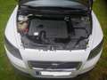 Volvo C30 1.6D DRIVe Momentum Bianco - thumbnail 6