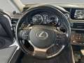 Lexus IS 300 h Competition *NAVI*LED*PDC* Weiß - thumbnail 13