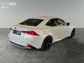 Lexus IS 300 h Competition *NAVI*LED*PDC* Weiß - thumbnail 6