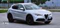 Alfa Romeo Stelvio Stelvio 2020 2.2 t Executive Q4 190cv auto Gris - thumbnail 12