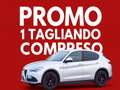 Alfa Romeo Stelvio Stelvio 2020 2.2 t Executive Q4 190cv auto Gris - thumbnail 1