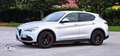 Alfa Romeo Stelvio Stelvio 2020 2.2 t Executive Q4 190cv auto Gris - thumbnail 3