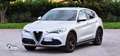 Alfa Romeo Stelvio Stelvio 2020 2.2 t Executive Q4 190cv auto Gris - thumbnail 16