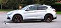 Alfa Romeo Stelvio Stelvio 2020 2.2 t Executive Q4 190cv auto Gris - thumbnail 5